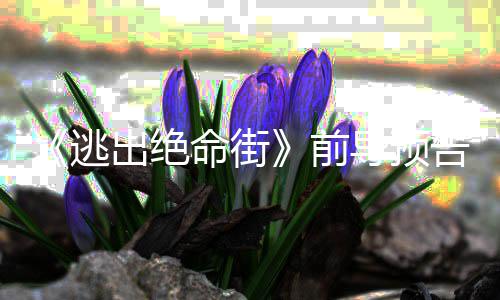 定档26年特剧版节预告哈公布利波首支圣诞