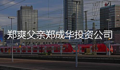 欠税人回应华投父亲风波 关联法郑爽郑成资公司陷