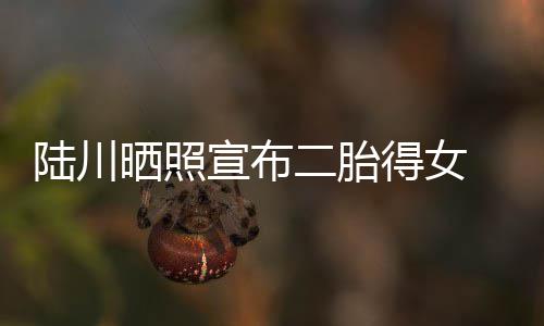 得女婆是川老宣布二胎陆川 陆晒照谁