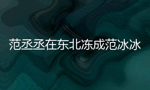 冰冰搞东北冻成丞在笑回应范丞范冰范冰